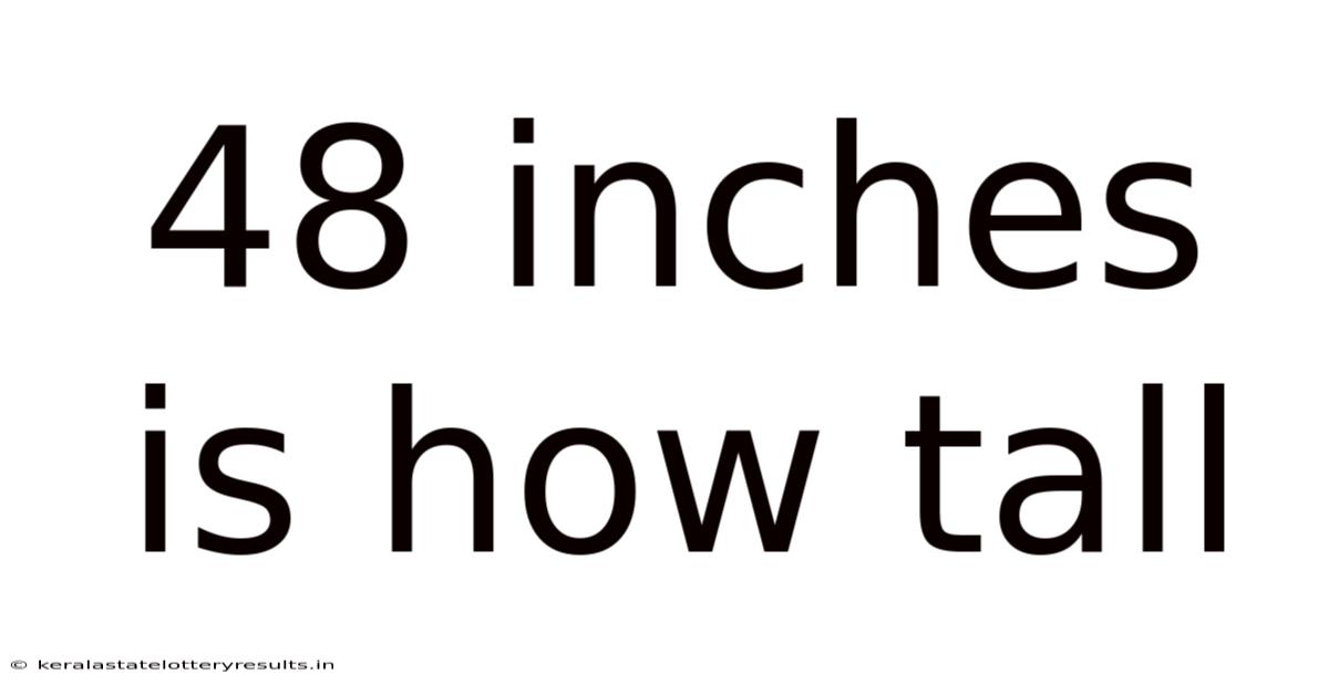48 Inches Is How Tall