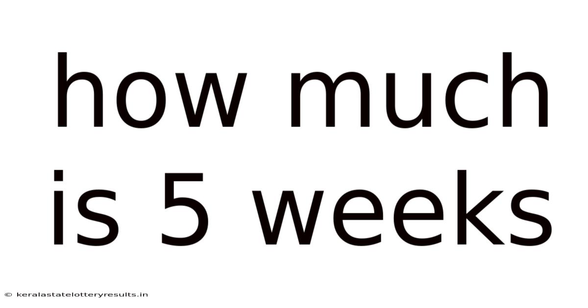 How Much Is 5 Weeks