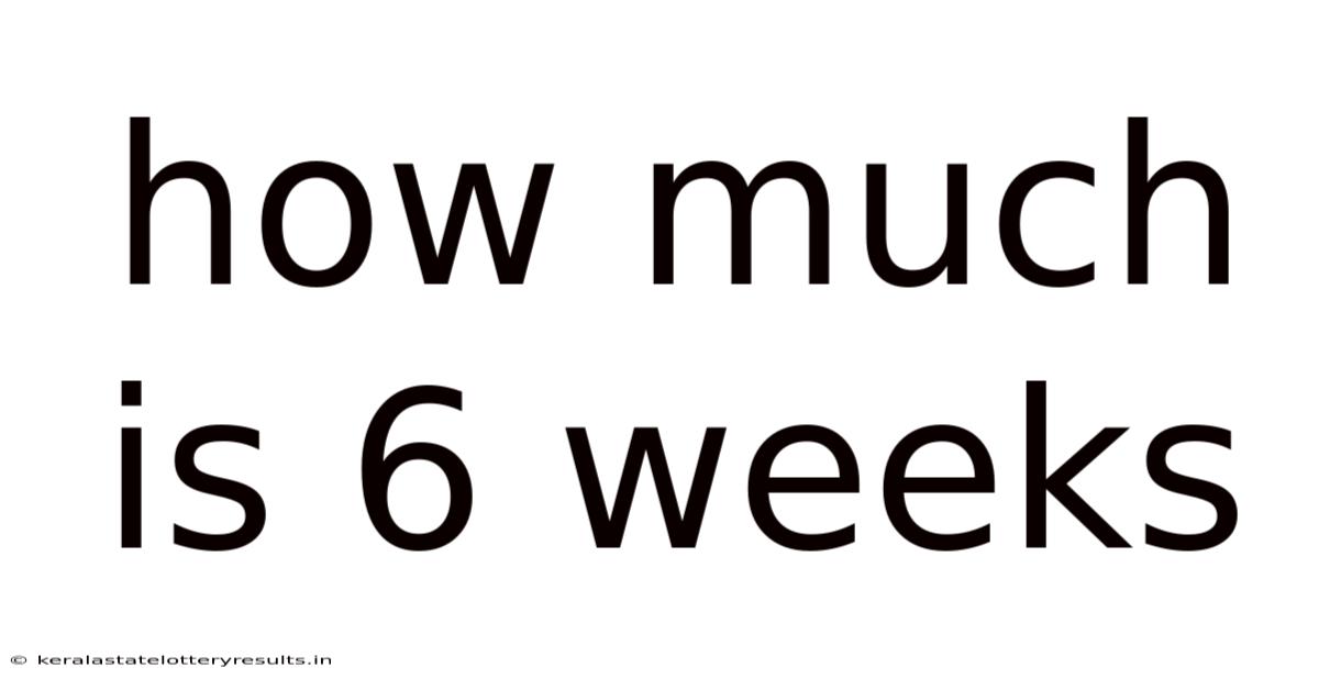 How Much Is 6 Weeks