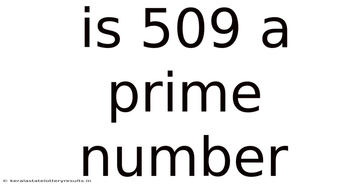 Is 509 A Prime Number