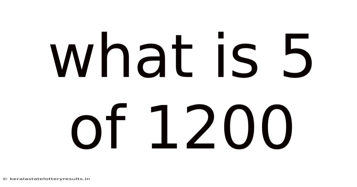 What Is 5 Of 1200